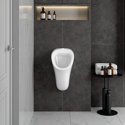 Arkitekt Писсуар белый, 6201B003-0199										