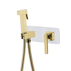 Встраиваемый смеситель с гигиеническим душем, белый/золото