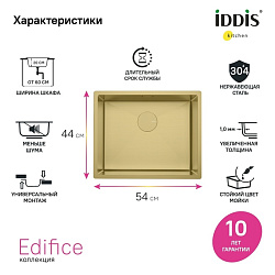 Мойка, нерж.сталь, универсального монтажа, матовое золото, 540*440, Edifice, IDDIS, EDI54B0i77