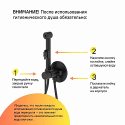 Встраиваемый смеситель с гигиеническим душем, матовый черный, IDDIS, 003BLR0i08