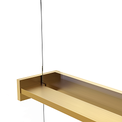 Душевая перегородка Walk-In VSW-1HR900CGG, 900*2000, брашированное золото, стекло тонированное, , шт