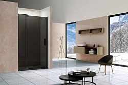 Душевая дверь Extra VDP-1E9010CGB, 900/1000, черный, стекло тонированное, , шт