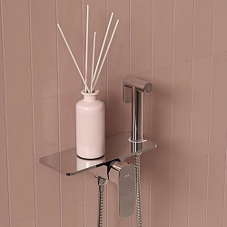 Встраиваемый смеситель с гигиеническим душем, полка, Axes, IDDIS, AXESBSHi08