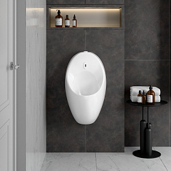 Arkitekt писсуар  цв.белый (сеть) безободковый, 5999B003-5556