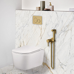 Гигиенический душ VHFW-101BG из латуни, со смесителем, брашированное золото, , шт