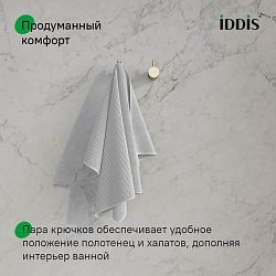 Комплект одинарных крючков, сплав металлов, Petite, матовое золото, IDDIS, PET2G02i41