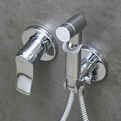 ORTUS Встраиваемый смеситель с гигиеническим душем, латунь/хром, LM11319C