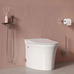 Встраиваемый смеситель с гигиеническим душем, полка, Axes, IDDIS, AXESBSHi08