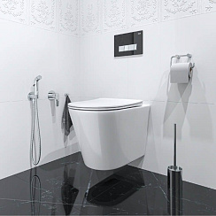 Встраиваемый смеситель с гигиеническим душем, никель-хром, Ray, IDDIS, RAYSBR2i08