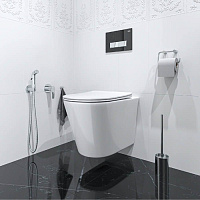 Встраиваемый смеситель с гигиеническим душем, никель-хром, Ray, IDDIS, RAYSBR2i08