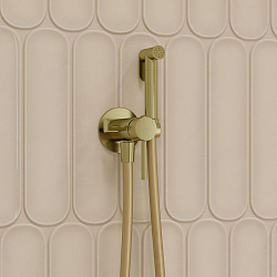 Встраиваемый смеситель с гигиеническим душем, матовое золото, IDDIS, 005MGR0i08