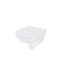 Подвесной унитаз безоободковый Zodiac, IDDIS, ZDCRDSEi25