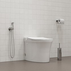 Встраиваемый смеситель с гигиеническим душем, матовый хром, IDDIS, 005BCR0i08