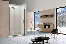 Душевая дверь Extra VDP-1E9010CLGM, 900/1000, вороненая сталь, стекло прозрачное, , шт