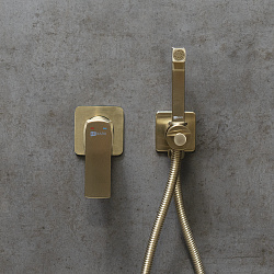 URSUS Встраиваемый смеситель с гигиеническим душем, латунь/брашированное светлое золото
