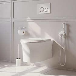 Унитаз подвесной, безободковый, Sena, IDDIS, SENRDSEi25