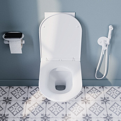 Подвесной унитаз безоободковый Zodiac, IDDIS, ZDCRDSEi25