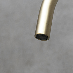 EXPERT Смеситель для кухни с поворотным изливом, нерж. сталь/ светлое золото