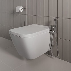 Смеситель с гигиеническим душем с установкой на унитаз, Tidy, Milardo, 001SB00M08