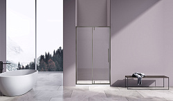 Душевая дверь Slim-N VDP-4SN100CLGM, вороненая сталь, стекло прозрачное, , шт