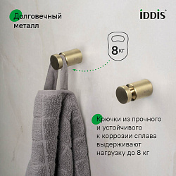 Комплект одинарных крючков, сплав металлов, Petite, матовое золото, IDDIS, PET2G01i41