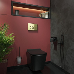 Клавиша смыва, универсальная, золото, Unisteel, 001, IDDIS, UNS01GGi77