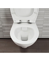 Universal Универсальное сиденье дюропласт, микролифт (замена 800-003-009)