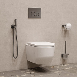 Встраиваемый смеситель с гигиеническим душем, матовый графит, IDDIS, 005GMR0i08